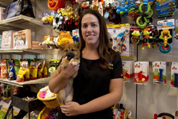 Maryland pet stores sue to block state ban on dog cat sales AP News
